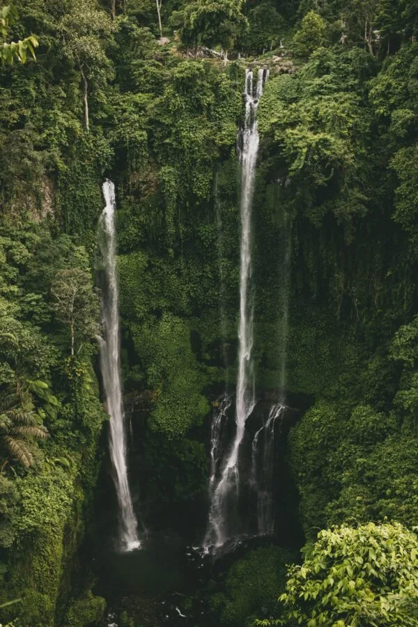 Splash & Serenity Adventure: Lemukih's Natural Water Slide & Sekumpul Waterfalls Tour with Rice Terrace Leap