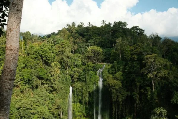 Splash & Serenity Adventure: Lemukih's Natural Water Slide & Sekumpul Waterfalls Tour with Rice Terrace Leap - Image 2